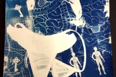 cyanotype mixtes