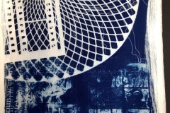 cyanotype202412