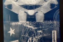 cyanotype202414