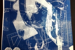 cyanotype202419