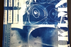cyanotype202420