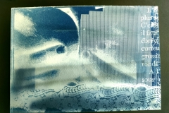 cyanotype202477