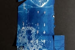 cyanotype2024107