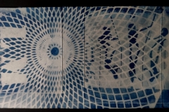 cyanotype2024111