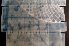 cyanotype2024122