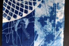 cyanotype2024123