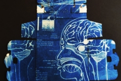 cyanotype2024127