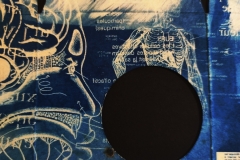 cyanotype2024128