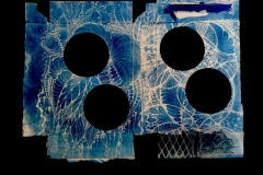cyanotype2024129