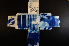 cyanotype2024138