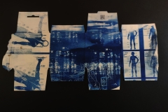 cyanotype2024146