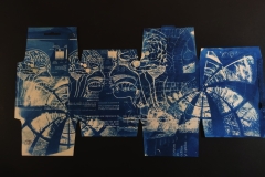 cyanotype2024147