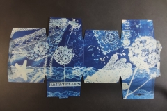 cyanotype2024154