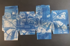 cyanotype2024155