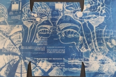 cyanotype2024156