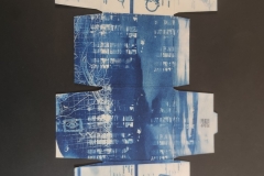cyanotype2024157