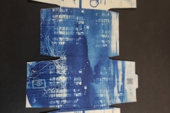 cyanotype2024158