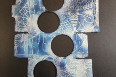 cyanotype2024161