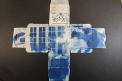 cyanotype2024164
