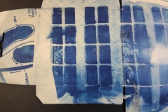 cyanotype2024166