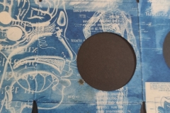 cyanotype2024170