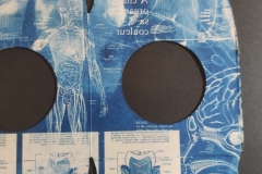 cyanotype2024171
