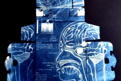 cyanotype2024172