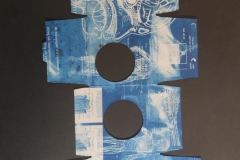 cyanotype2024174