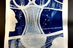 cyanotype2024152