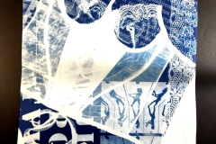 cyanotype2024153