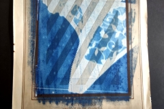 cyanotype202446