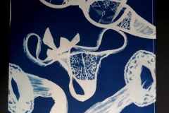 cyanotype202491