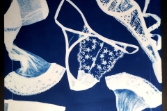 cyanotype202492