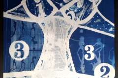 cyanotype202493