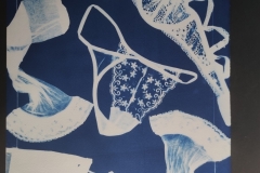 cyanotype202495