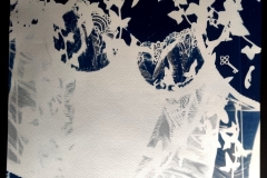 cyanotype202498