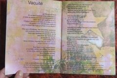 livre-1-vacuite35_copy