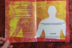 livre-1-vacuite41_copy