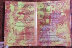 livre-1-vacuite43_copy