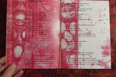 livre-1-vacuite47_copy