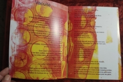 livre-1-vacuite56_copy