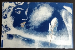 cyanotype202452