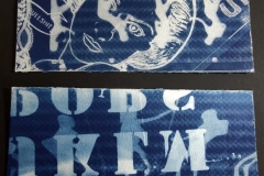 cyanotype202454
