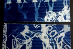 cyanotype202455
