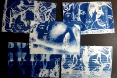 cyanotype202461