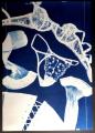 cyanotype202492