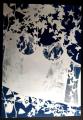 cyanotype202498