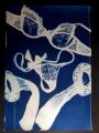 les cyanotypes lingeries